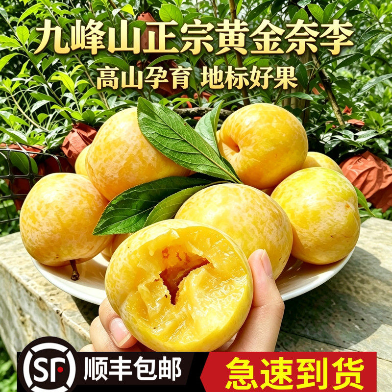 乐昌九峰山黄金奈李新鲜水果应当季时令整箱特产脆甜李子鲜果现摘