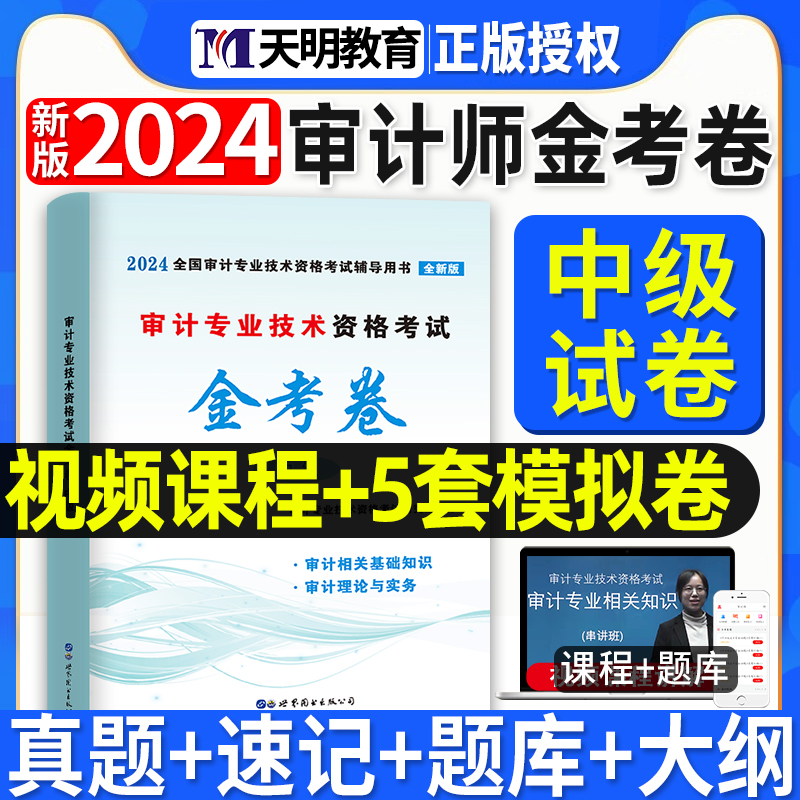 2024中级审计师金考卷考试试卷