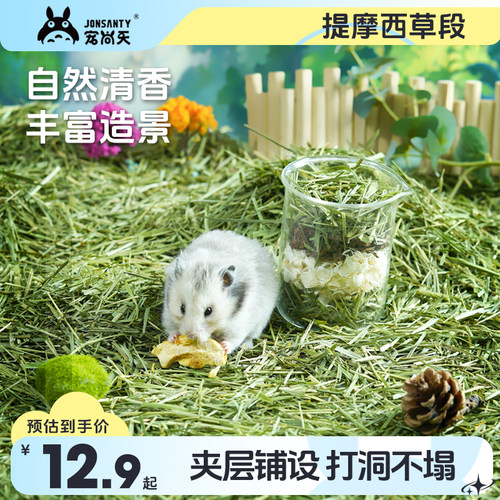 宠尚天仓鼠垫料造景用品