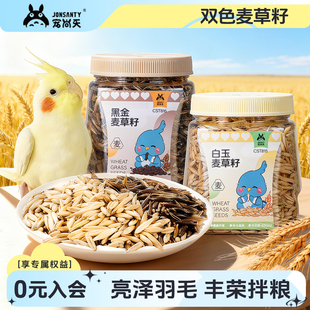 宠尚天鹦鹉零食训练奖励白玉黑金双色麦草籽虎皮牡丹专用鸟粮鸟食