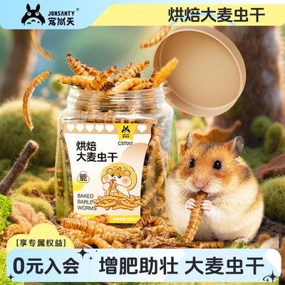 仓鼠大麦虫干金丝熊零食