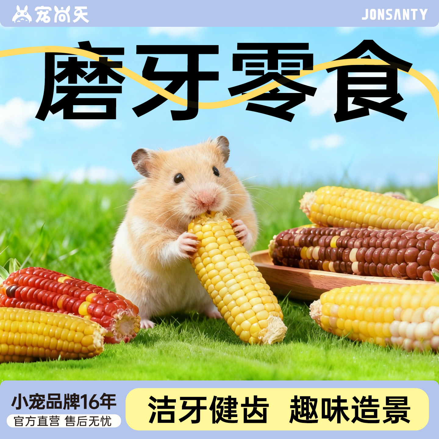 【万人种草】仓鼠玉米磨牙棒造景