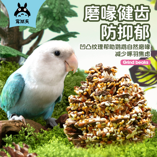 宠尚天鹦鹉松果球训练奖励零食玄凤牡丹专用磨喙啃咬玩具鸟粮用品