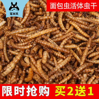 宠尚天面包虫活体虫干黄粉虫鹦鹉鱼乌龟银龙金龙鱼画眉鸟饲料龟粮