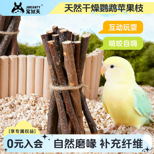 鹦鹉苹果木啃咬玩具磨牙棒