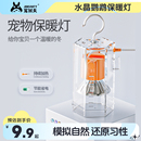 宠尚天鹦鹉保温灯虎皮玄凤珍珠鸟宠物保暖灯过冬神器加热灯鸟用品