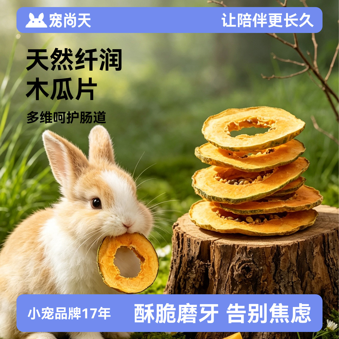 宠尚天兔子烘干木瓜片木瓜丝去毛球助化毛排毛补充营养磨牙零食