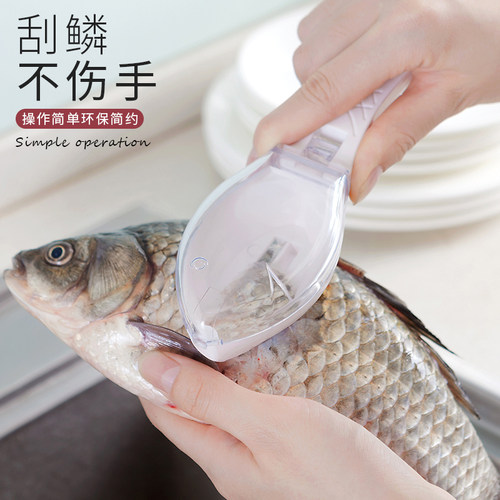 带盖鱼鳞刨价格 带盖鱼鳞刨图片 星期三