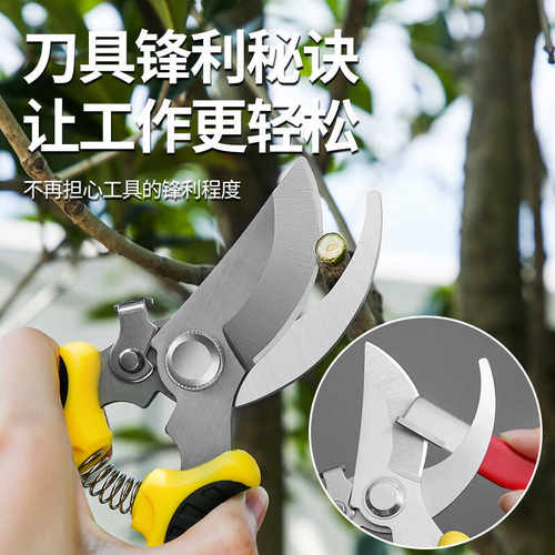 磨刀神器刀具开刃器磨刀石家用果枝剪快速磨刀器剪刀菜刀开刃工具