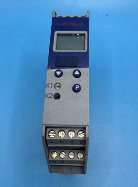 weishaupt 温控器 ITIRON DR100 702