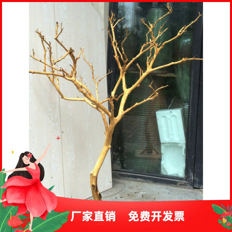 干树枝造景干枝树干许愿树枯树室内庭院造型树枝干原木树枝装饰树