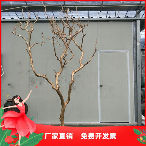 热卖婚庆橱窗摆放枯干多色装饰树