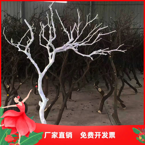 白色干树枝装饰树背景