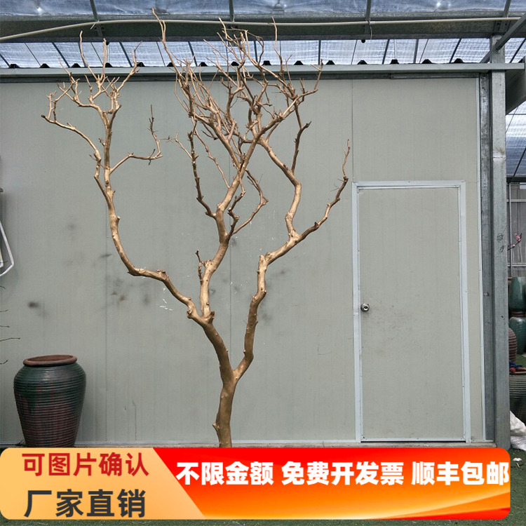 热卖婚庆橱窗摆放枯干多色装饰树