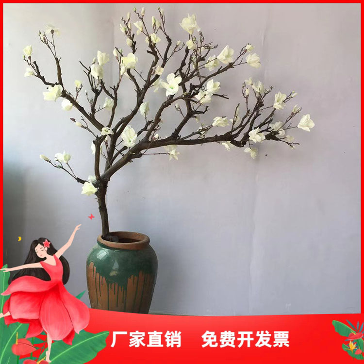 仿真白玉兰花树店铺橱窗装饰酒店图片