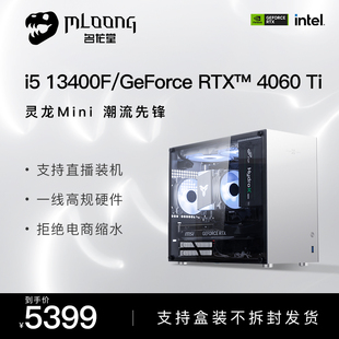 机 名龙堂i5 13400F升13490F 12400F RTX4060Ti电脑主机台式 吃鸡游戏电竞直播整机高颜值DIY组装