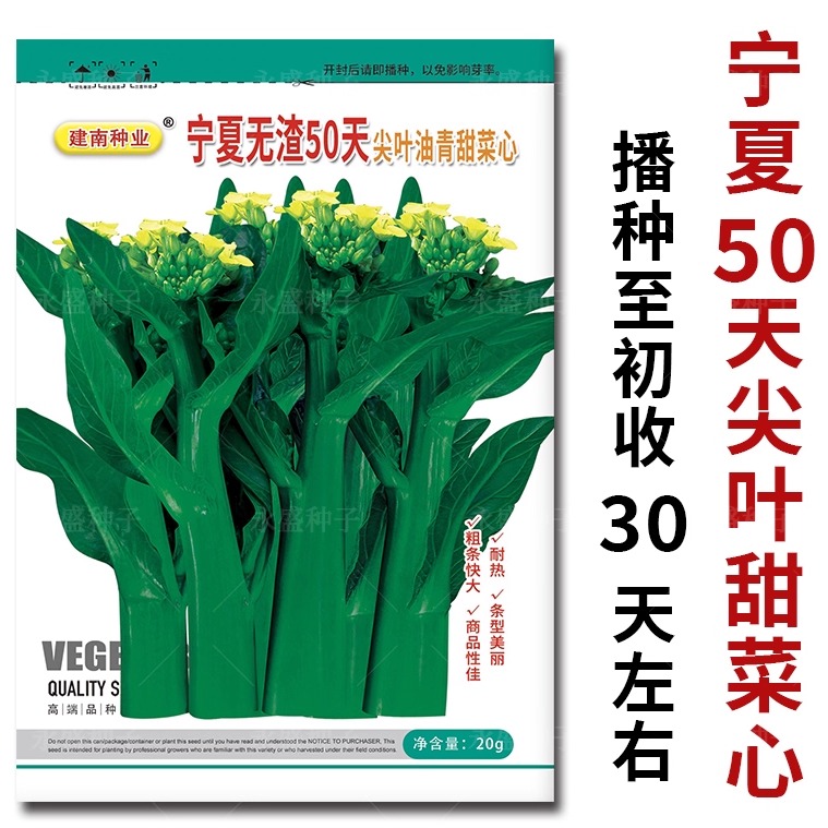 宁夏50天尖叶甜菜心种子质嫩清甜