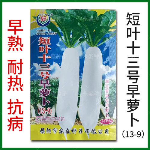 短叶十三号早萝卜种子耐高温耐湿