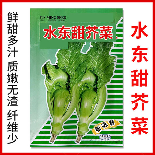 青菜芥菜建南种业好吃