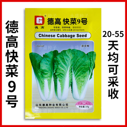 耐热四季德高快菜9号种子