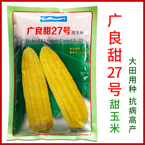 广良甜27甜玉米种子特大高产良种