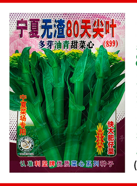 宁夏无渣80天尖叶多芽油青甜菜心种籽899茎苔粗菜心种子蔬菜种孑