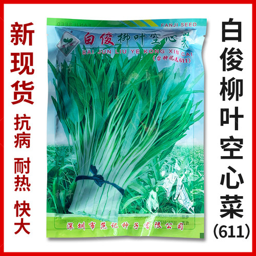 范记611白俊柳叶空心菜种籽