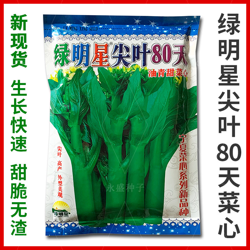 绿明星尖叶80天油青甜菜心种子高产宁夏菜心种籽大田用种蔬菜种孑