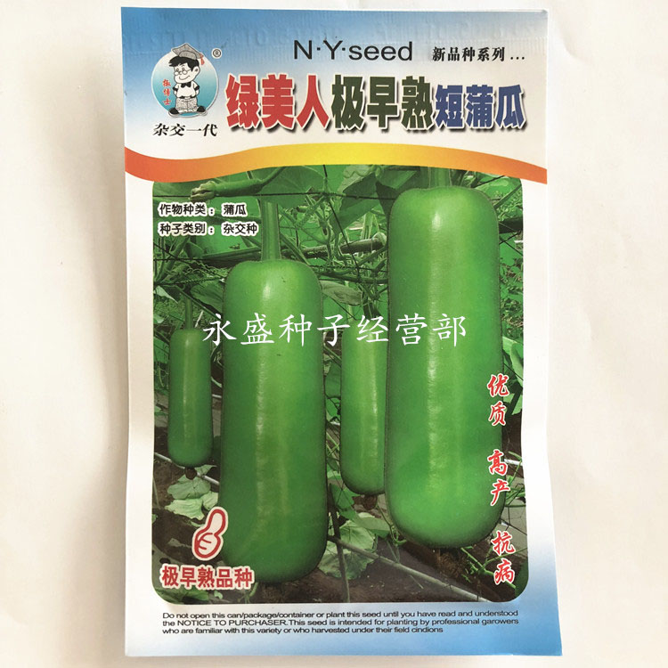 绿美人蒲瓜种子短蒲瓜种子