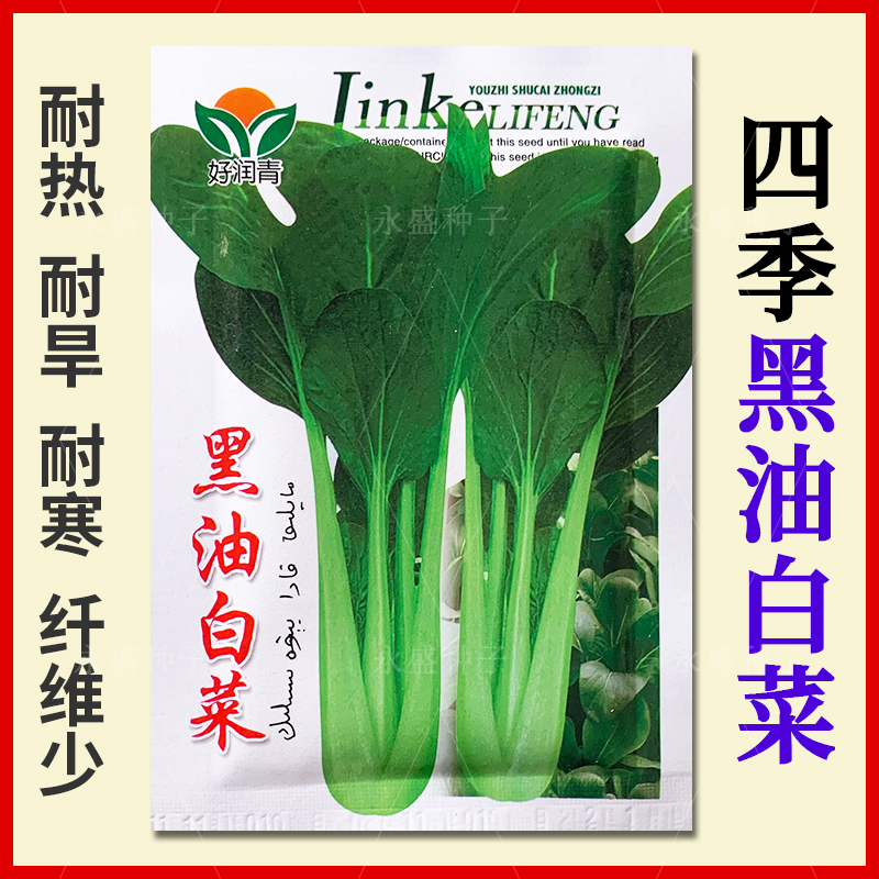 四季青梗小白菜种孑盆栽小青菜种