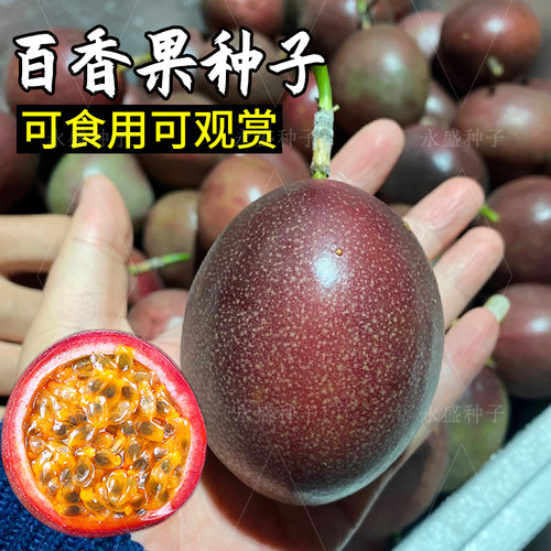 百香果种子紫香西番莲鸡蛋果