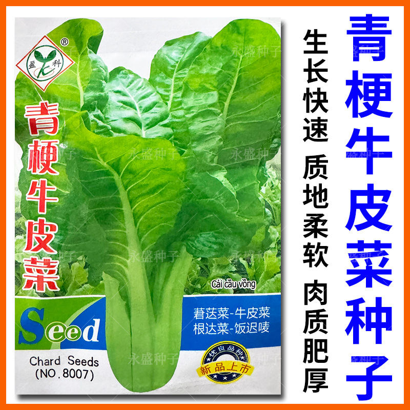 青梗牛皮菜种子生长快质地柔软