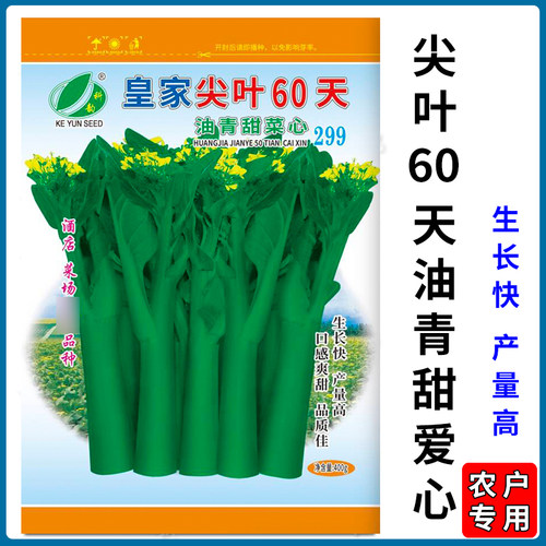 广东菜心种籽皇家尖叶60天油青甜菜心种子油菜籽种菜苔种孑春秋季 - 封面