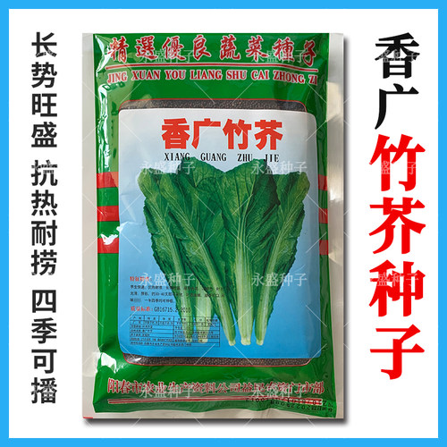 香广竹芥种子四季可播