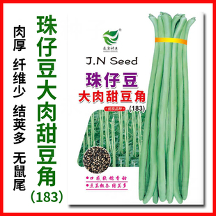 珠仔豆大肉甜豆角种黑花籽油白豆角种籽厚肉粗条猪仔豆甜豆角种子
