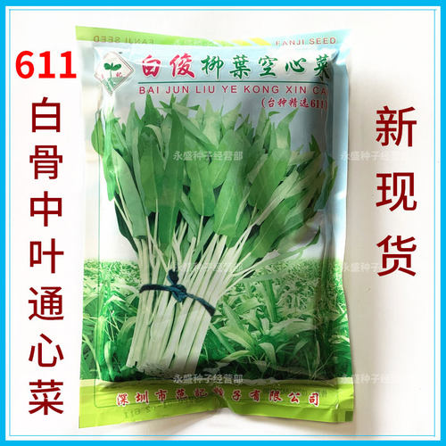 深圳范记白俊柳叶空心菜种籽611中叶耐热白骨通心菜种子蔬菜种籽