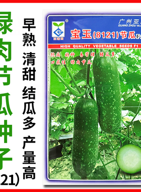宝玉8121节瓜种子高产抗病绿肉毛节瓜子种迷你小冬瓜种籽蔬菜种孑