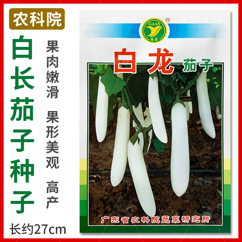 农科院种子白龙茄子种高产抗病白色长茄子种籽农家春秋季蔬菜种孑