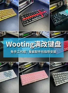 全新wooting60 he+/v2满改键盘成品｜定制代组｜磁轴水晶果冻80he