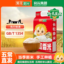 【葵花阳光】东北长粒香大米5kg