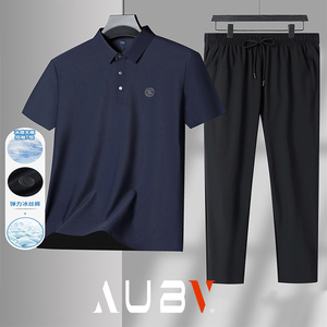 AUBV高端男士短袖polo衫冰丝2024新款夏天季速干宽松大码t恤套装