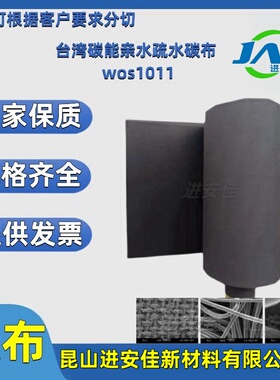 碳能碳布亲水疏水导电碳布电池柔性电极碳布W0S1011高校实验材料
