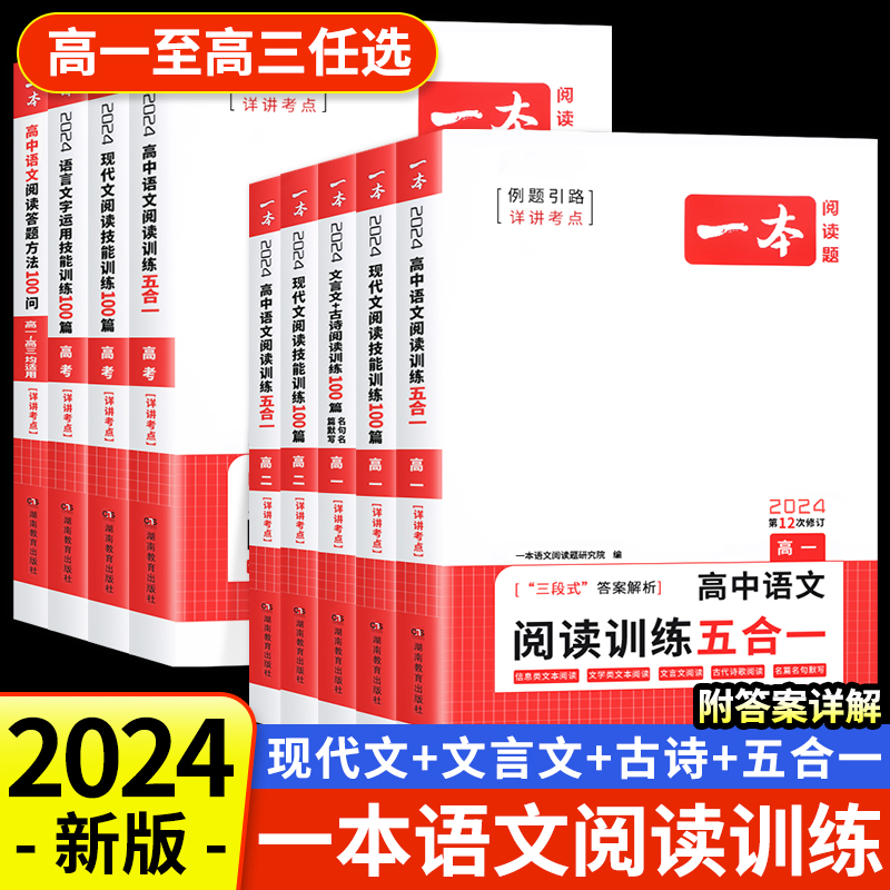 2024版一本高中语文专项训练