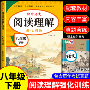 八年级下册阅读理解专项训练书人教版初中语文课外阅读强化训练题答题技巧模板文言文现代文古诗文初二8年级上下册同步练习册真题