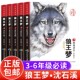 12岁班主任推荐 包邮 经典 儿童文学书 完整版 5册 狼王梦正版 沈石溪动物小说大王狼王梦画本珍藏版 漫画版 小学生三四五六年级课外书8