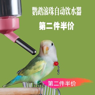 鹦鹉鸟用滚珠饮水器自动下水干净卫生水壶虎皮等家养手养鹦鹉小宠