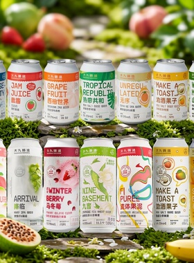 大九酿造国产精酿啤酒就酱西柚世界无序古斯酸啤果啤浑浊ipa混搭