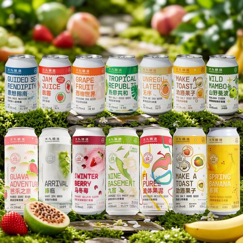 大九酿造国产精酿啤酒就酱西柚世界无序古斯酸啤果啤浑浊ipa混搭