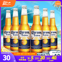 6瓶12瓶330ml整箱国产墨西哥风味科罗娜210ml进口24瓶精酿啤酒