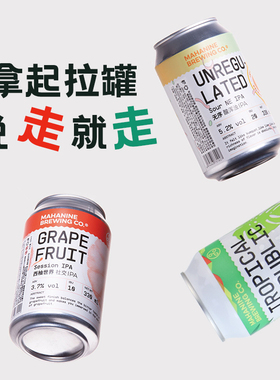 大九酿造 热卖混搭3罐装 国产精酿啤酒 古斯酸啤果啤鲜啤浑浊ipa